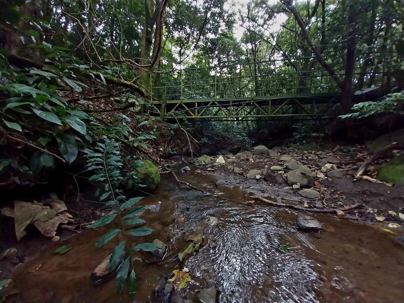 Wooded area with a small stream and a metal bridge on the property