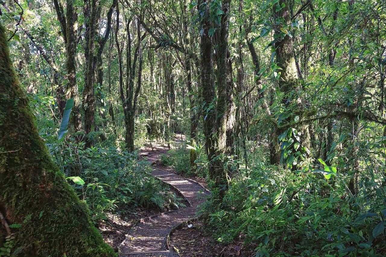 Santa Elena Cloud Forest Reserve · 6.2 km